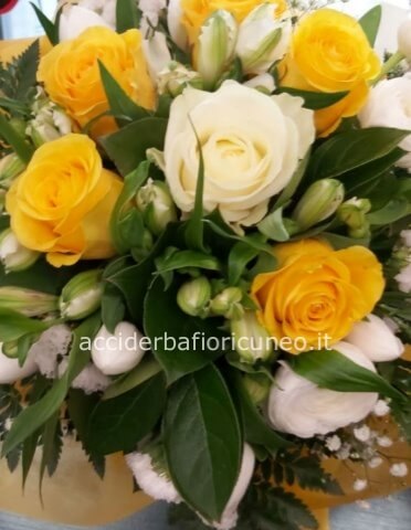 SCEGLIAMO INSIEME :Omaggio da concordare telefonicamente al nostro numero Tel .0171692720