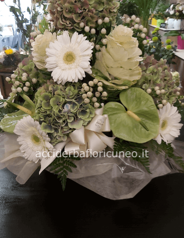 Composizioni in spugna